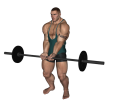 Barbell Curl - Close Grip Standing