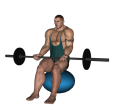 Barbell Curl - Fitness Ball