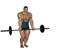 Barbell Curl - Narrow Stance