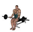 Barbell Curl - Seated Narrow Stance