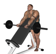 Barbell Curl - Standing Incline