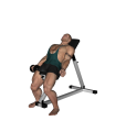 Dumbbell Curl - Incline Single