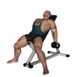 Dumbbell Curl - Incline
