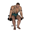 Dumbbell Curl - Seated Alternate