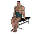 Dumbbell Curl - Seated Narrow Stance