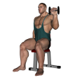 Dumbbell Curl - Seated Reverse Narrow Stance Alternate