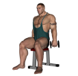 Dumbbell Curl - Seated Reverse Narrow Stance
