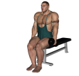 Dumbbell Curl - Seated Single Narrow