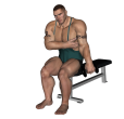 Dumbbell Curl - Seated Single
