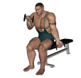 Dumbbell Curl - Seated Straight Alternate