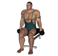 Dumbbell Pull - Seated Bent Over