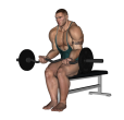 EZ Bar Curl - Seated Narrow Stance