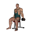 Hammer Curl - Seated Dumbbell Feet Up