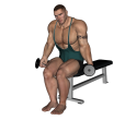 Hammer Curl - Seated Dumbbell Narrow