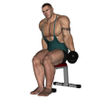 Hammer Curl - Seated Dumbbell Single Narrow