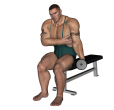 Hammer Curl - Seated Dumbbell Single