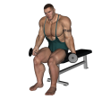 Hammer Curl - Seated Dumbbell