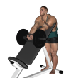 Hammer Curl - Standing Incline Barbell