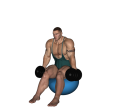 Lateral Raise - Fitness Ball Single