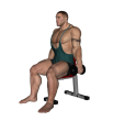 Lateral Raise - Seated