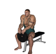 Plate Curl - Seated Reverse