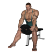 Plate Curl - Seated