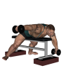 Posterior Raise - Flat Bench Dumbbell Reverse