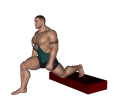 Quad - Standing Elevated Stretch