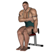 Reverse Curl - Seated Dumbbell Single Narrow