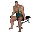 Reverse Curl - Seated Dumbbell