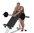 Reverse Curl - Standing Incline Barbell Close