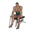 Reverse Row - Resistance Tube Seated