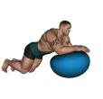 Roll Out - Fitness Ball