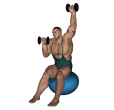 Shoulder Press - Fitness Ball Dumbbell Alternate