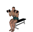Shoulder Press - Seated Dumbbell Narrow Stance