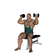 Shoulder Press - Seated Reverse Feet Up