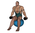 Shrug - Fitness Ball Dumbbell