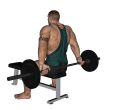 Shrug - Seated Barbell Behind Wide