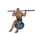 Side Bend - Fitness Ball Barbell Focused