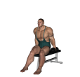 Side Bend - Seated Dumbbell