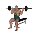 Twist - Seated Barbell