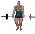 Upright Row - Barbell Narrow Stance