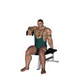 Upright Row - Seated Dumbbell Alternate