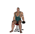 Upright Row - Seated Dumbbell Narrow Stance