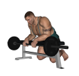 Wrist Curl - Palms Down Over Bench