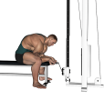 Wrist Curl - Seated 2 Arm Low Pulley