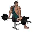 Wrist Curl - Seated Barbell Behind