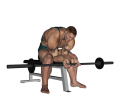 Wrist Curl - Seated Barbell