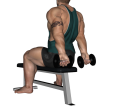 Wrist Curl - Seated Behind Dumbbell