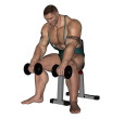 Wrist Curl - Seated Dumbbell Palms Down